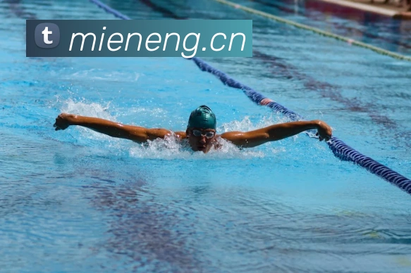 App Interface Preview