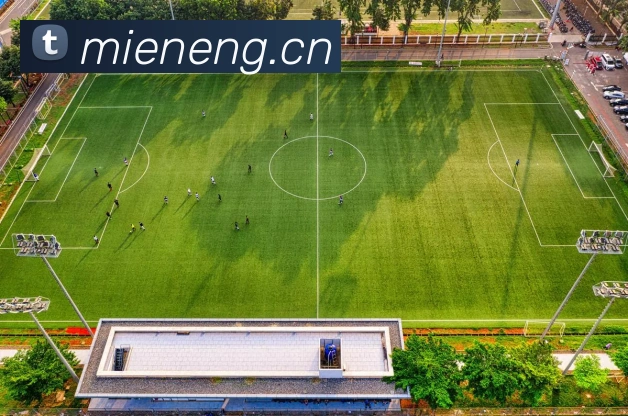 数据防护可视化